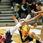Popis Dzików w Sopocie. „Cały czas rośniemy”