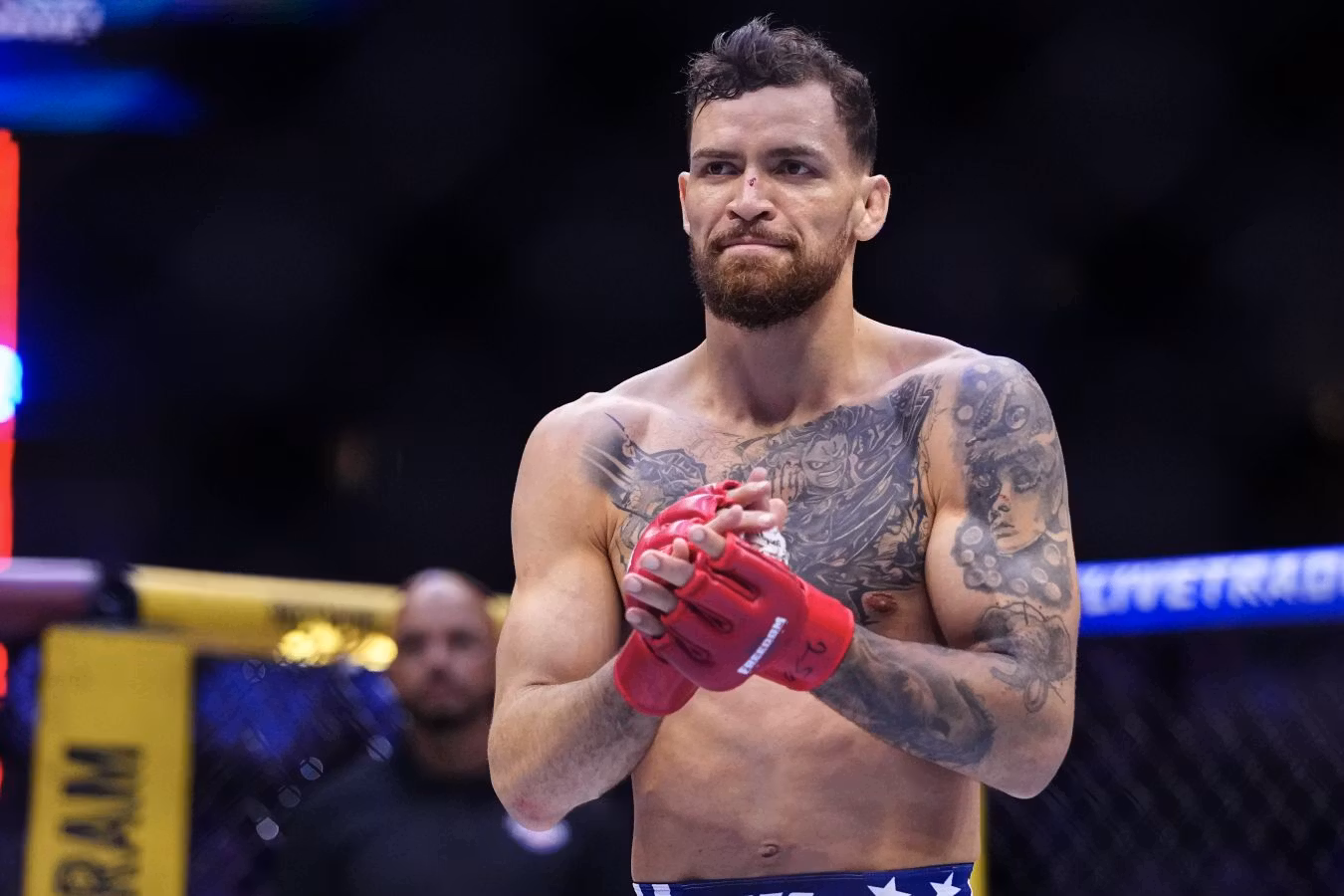 Сможет ли Руффи нокаутировать Царукяна на UFC 331?